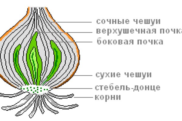 Кракен зеркало на сегодня